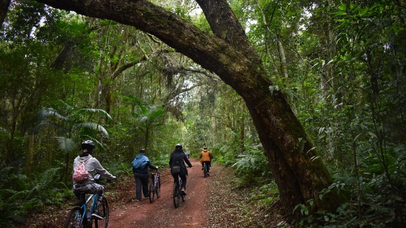 Bike tour Poço Preto