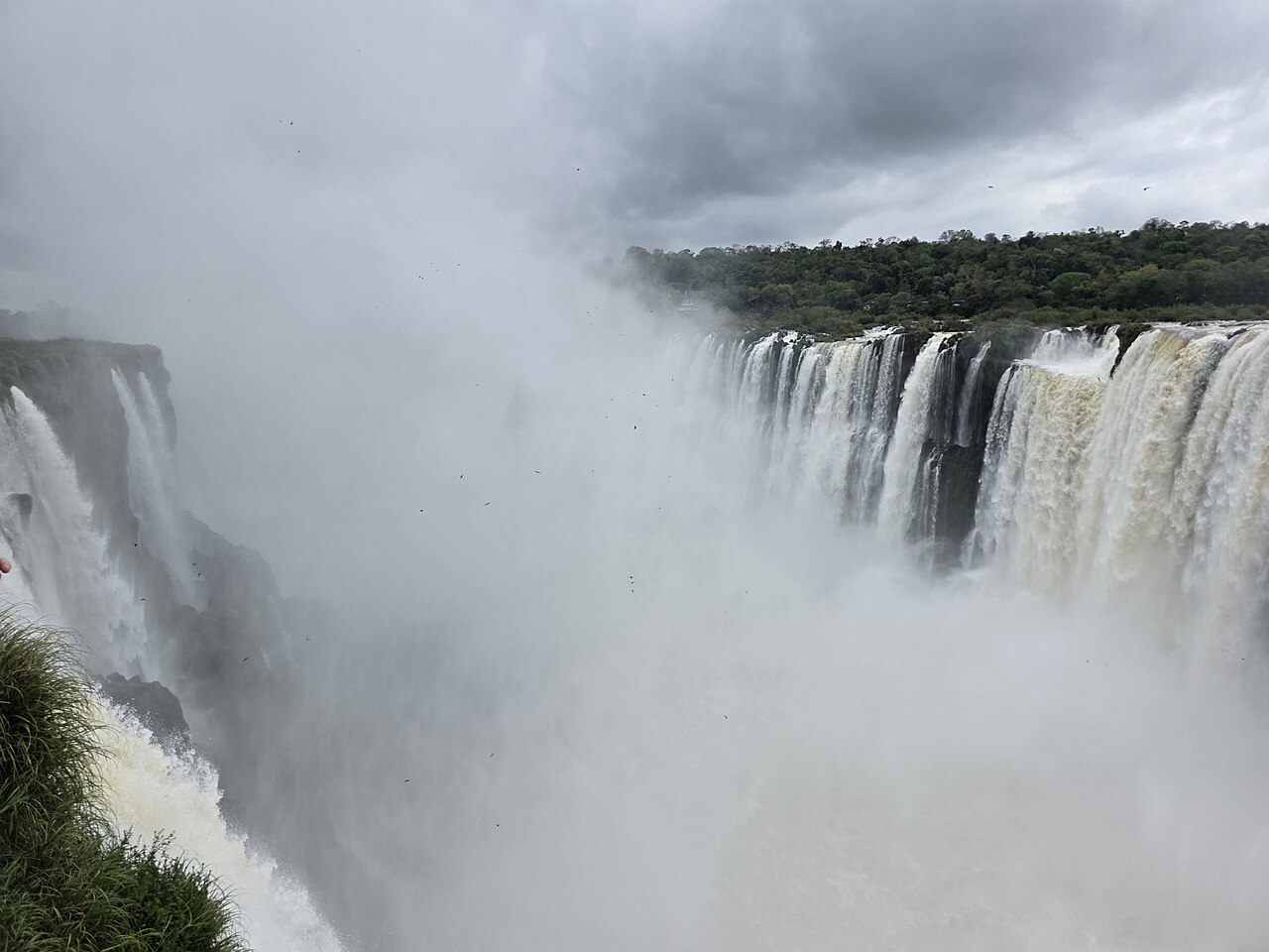 Natureza e fauna preservadas